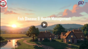 Fish Disease and Health Management